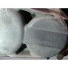 BOITE A VITESSE MECANIQUE RENAULT SCENIC III 2009- 1.5 dCi