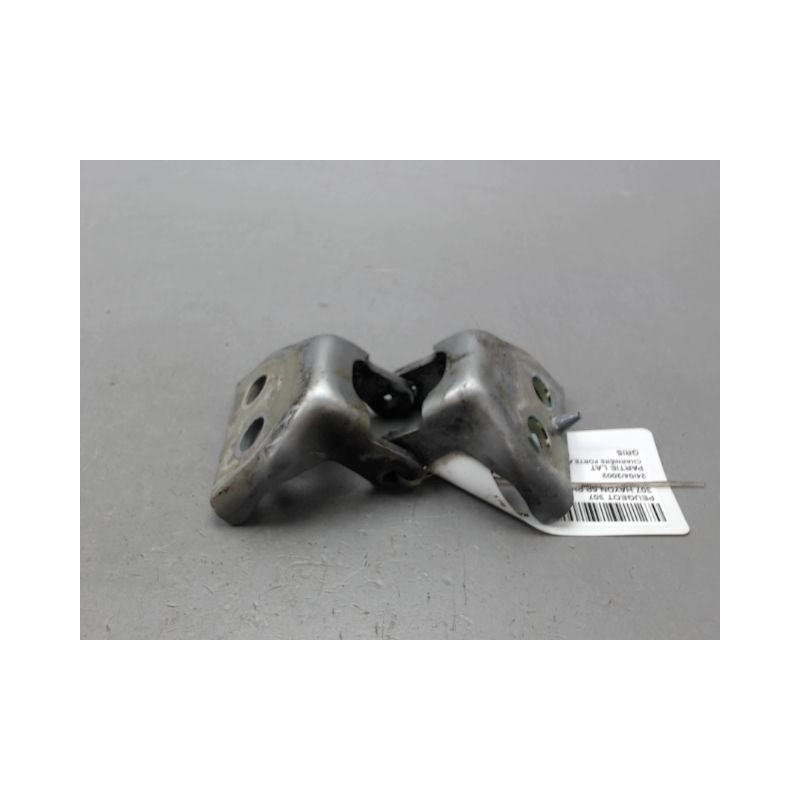 CHARNIÈRE PORTE AVG PEUGEOT 307 Phase 1 2001-2005
