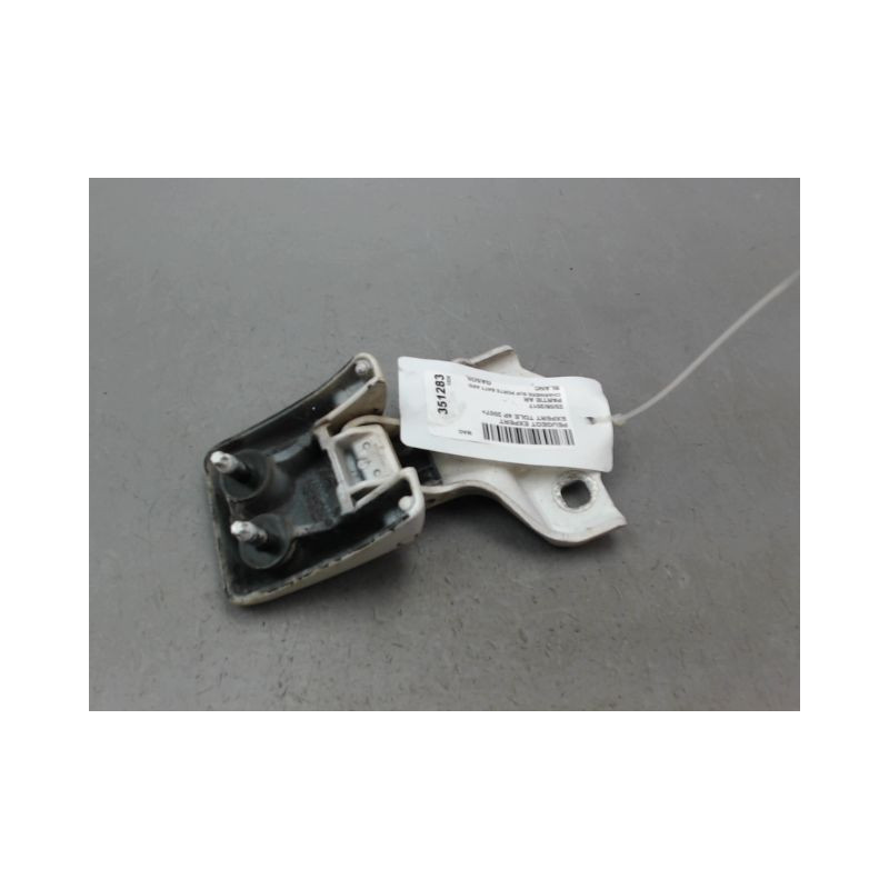 CHARNIERE SUP PORTE BATTANTE ARD PEUGEOT EXPERT TOLE 2007-