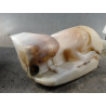 RESERVOIR LAVE-GLACE AVANT PEUGEOT PARTNER BREAK 2002-