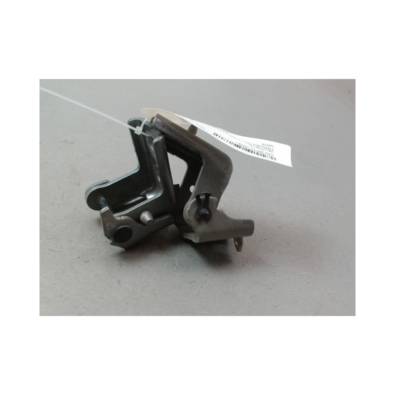 CHARNIÈRE PORTE ARD PEUGEOT 308 2009-