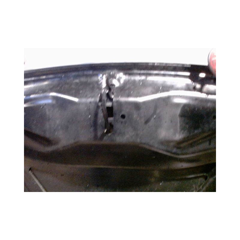 CAPOT CITROEN C3 2009-