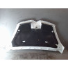 CAPOT CITROEN C4