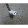 FEUX STOP SUPPLEMENTAIRE CITROEN C-ZERO