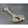 RESERVOIR LAVE-GLACE AVANT MINI MINI II Phase 1 (R56) 2006-2010
