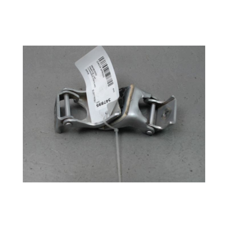 CHARNIÈRE PORTE ARG DACIA SPRING