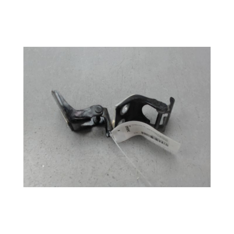 CHARNIÈRE PORTE AVG DACIA SPRING