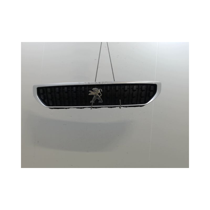 CALANDRE PEUGEOT EXPERT VITRE