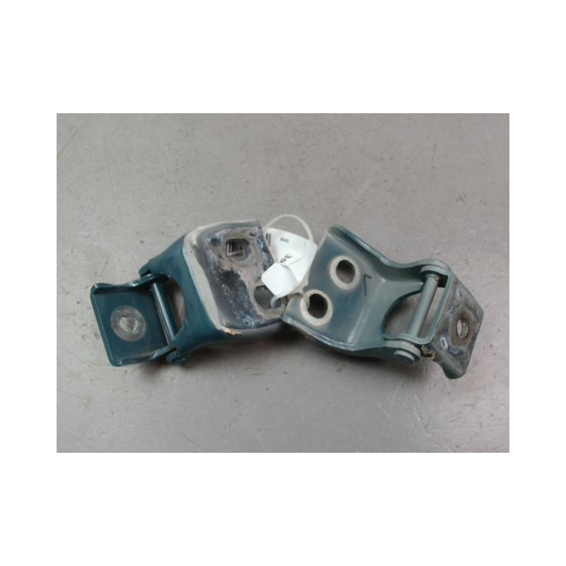 CHARNIÈRE PORTE AVG DACIA SPRING