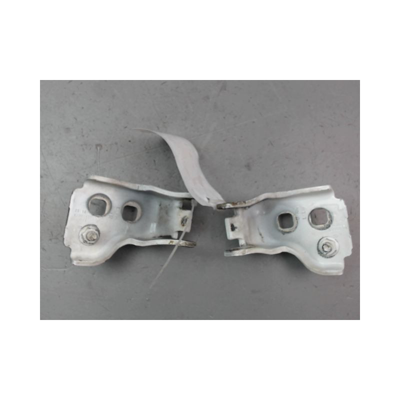 CHARNIÈRE PORTE AVG FORD T.CONNECT