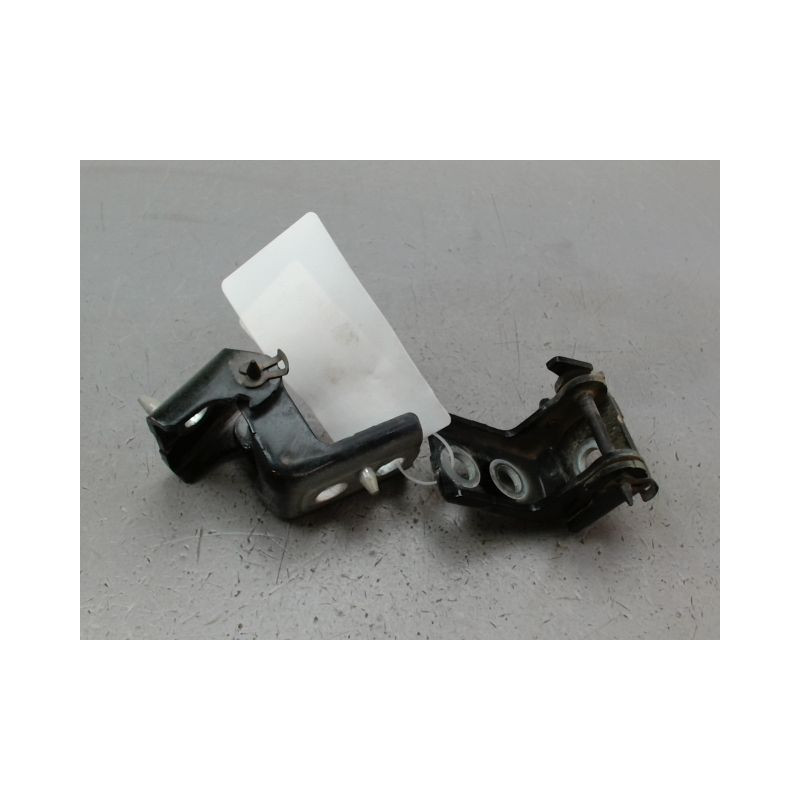 CHARNIÈRE PORTE ARD PEUGEOT 208 Phase 1 2012-...