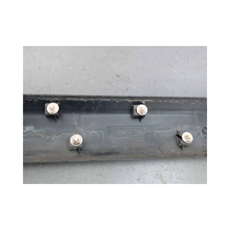 PROTECTION PORTE AVANT GAUCHE DACIA SANDERO