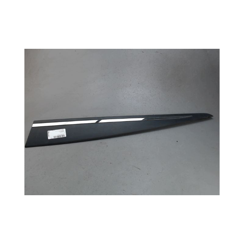 PROTECTION PORTE AVANT GAUCHE RENAULT CLIO