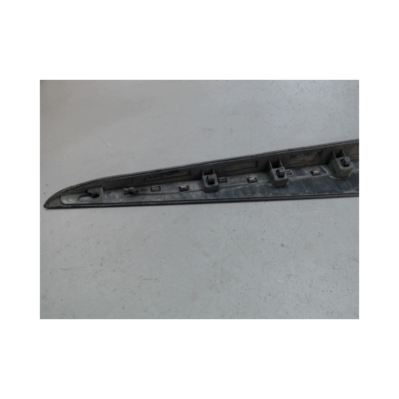 PROTECTION PORTE AVANT GAUCHE RENAULT CLIO
