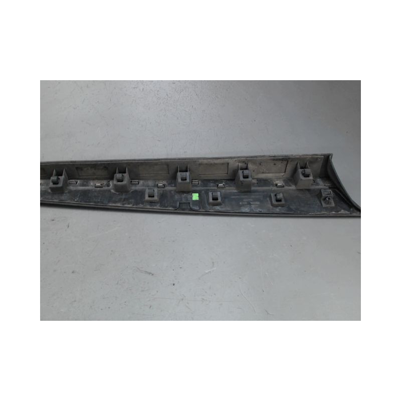 PROTECTION PORTE AVANT GAUCHE RENAULT CLIO