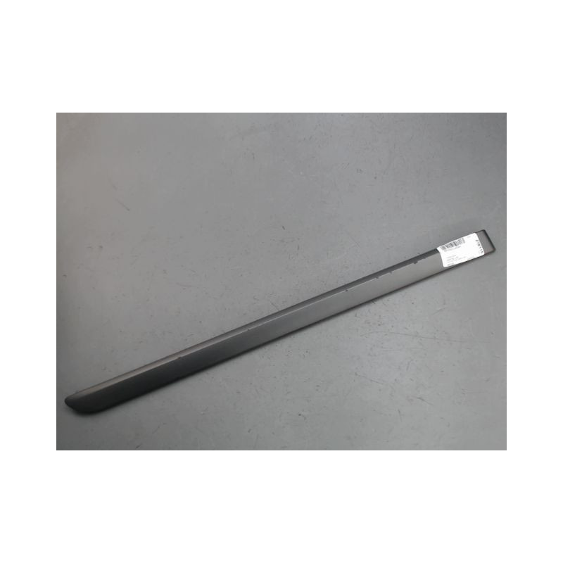 PROTECTION PORTE ARRIERE DROIT RENAULT LAGUNA