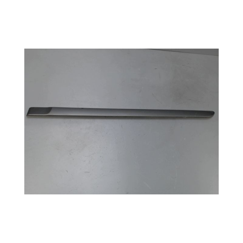 PROTECTION PORTE ARRIERE GAUCHE RENAULT LAGUNA