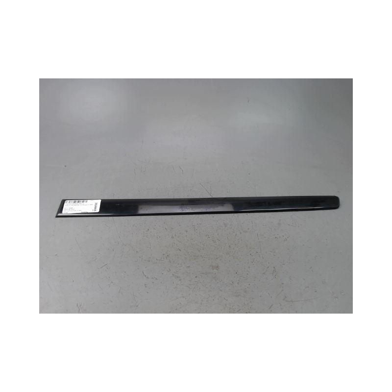 PROTECTION PORTE ARRIERE GAUCHE VOLKSWAGEN POLO IV Phase 2 (9N) 2005-2009