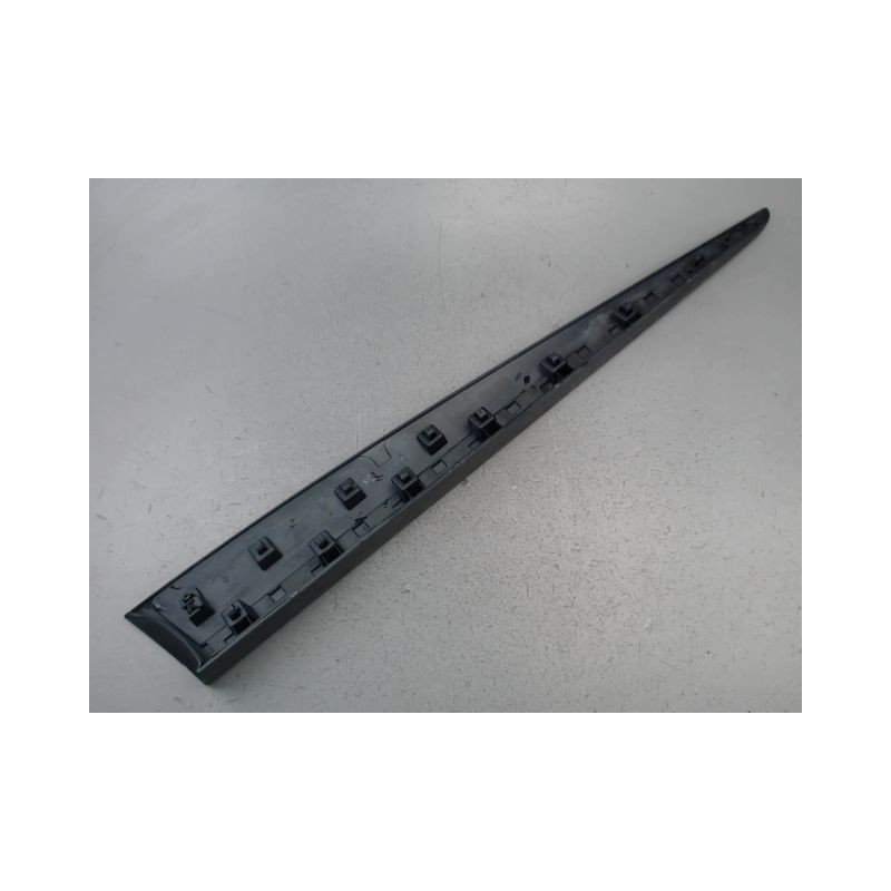 PROTECTION PORTE AVANT GAUCHE RENAULT CLIO
