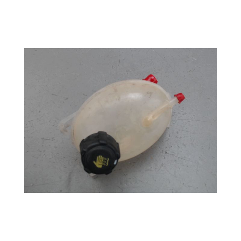 VASE EXPANSION RENAULT CLIO