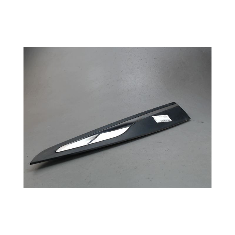 PROTECTION PORTE ARRIERE GAUCHE RENAULT CLIO