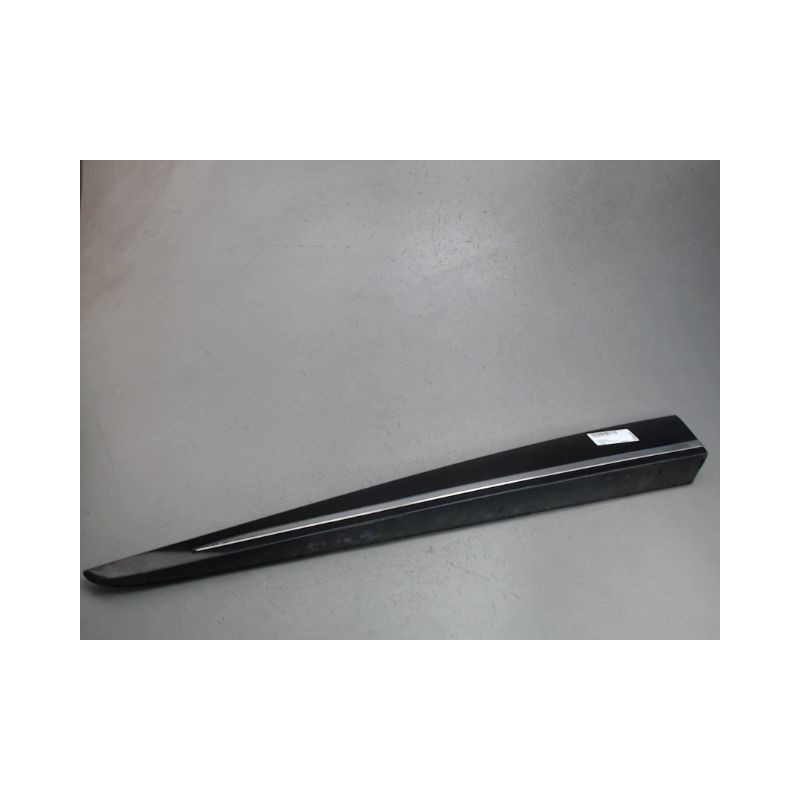 PROTECTION PORTE AVANT GAUCHE RENAULT CLIO