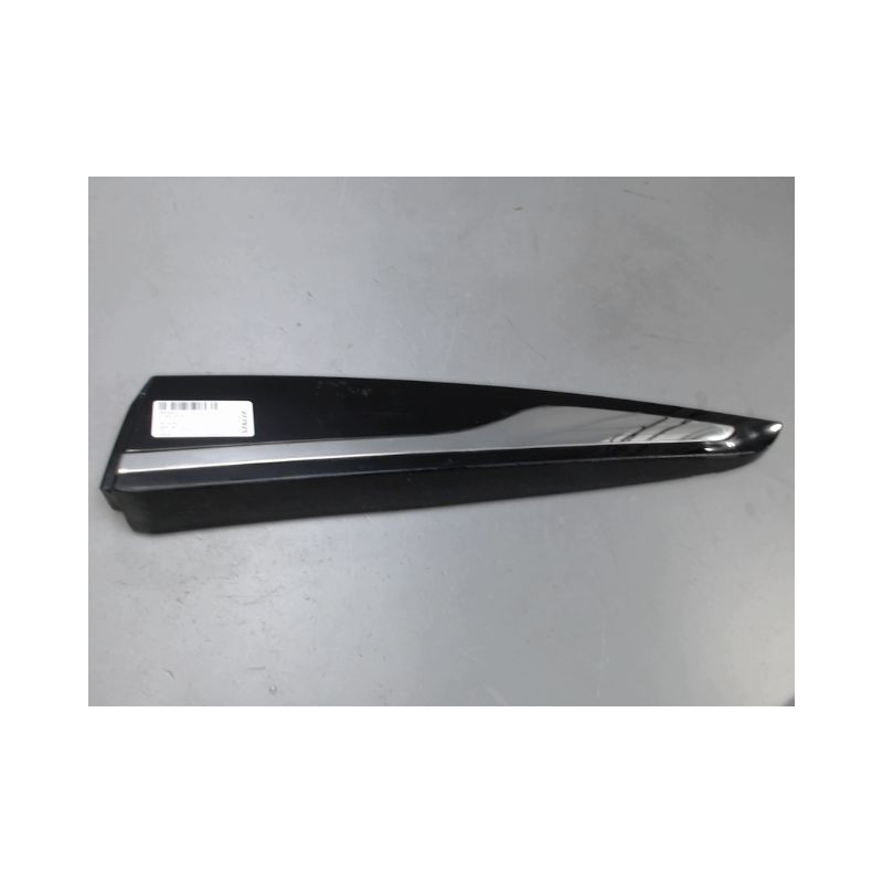 PROTECTION PORTE ARRIERE GAUCHE RENAULT CLIO