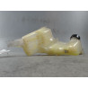 VASE EXPANSION RENAULT LAGUNA