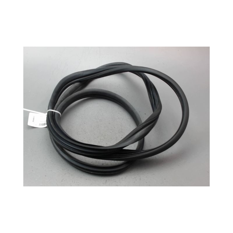 JOINT PORTE AVANT GAUCHE RENAULT CLIO III Phase 2 2009-2014