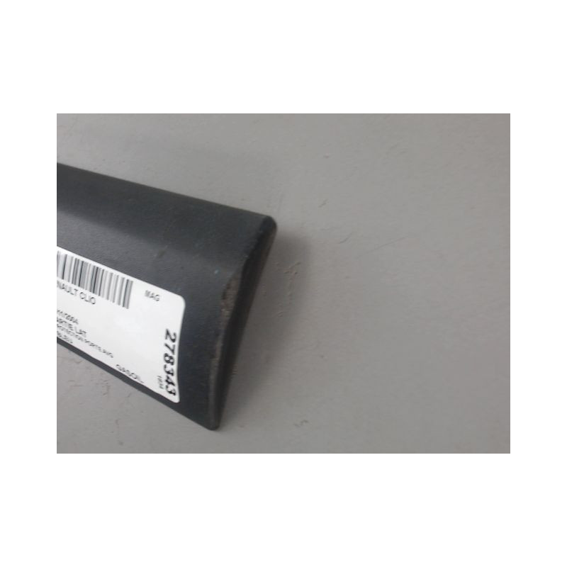 PROTECTION PORTE AVANT GAUCHE RENAULT CLIO
