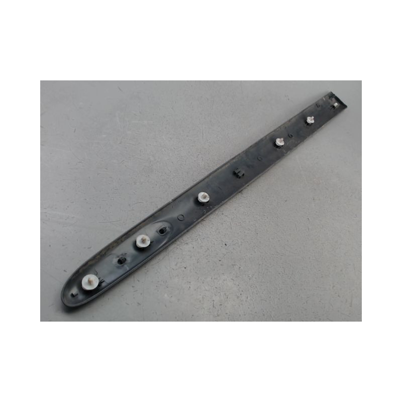 PROTECTION PORTE AVANT GAUCHE RENAULT CLIO