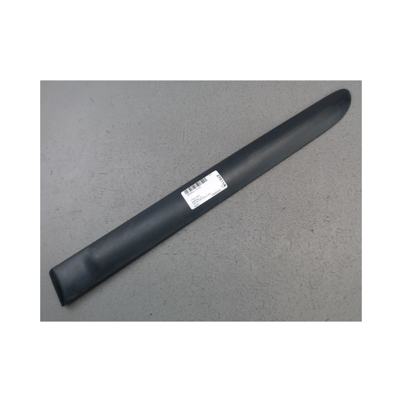 PROTECTION PORTE ARRIERE GAUCHE RENAULT CLIO
