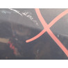 PORTE AVANT GAUCHE RENAULT SCENIC II PH2 2006-