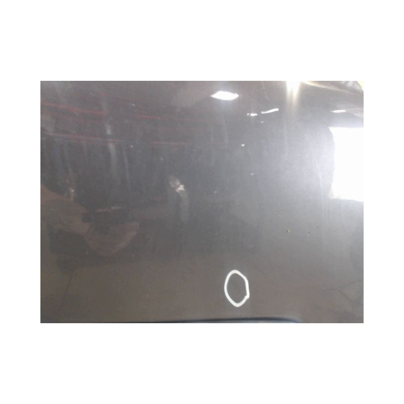 PORTE AVANT DROIT RENAULT CLIO II CAMPUS 06-