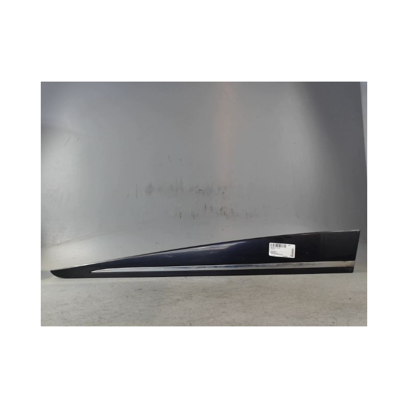 PROTECTION PORTE AVANT GAUCHE RENAULT CLIO IV