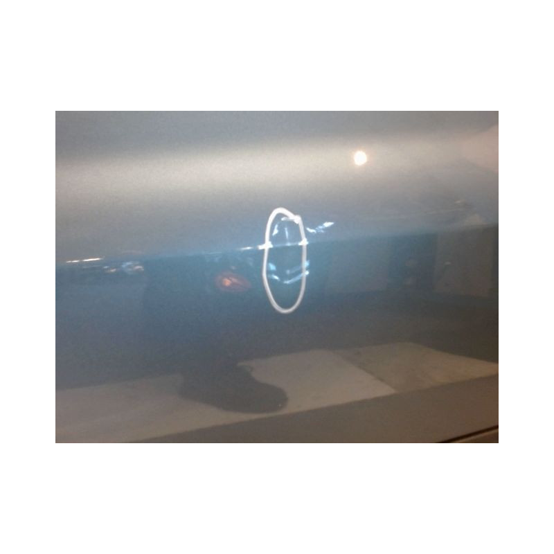 PORTE AVANT GAUCHE RENAULT CLIO