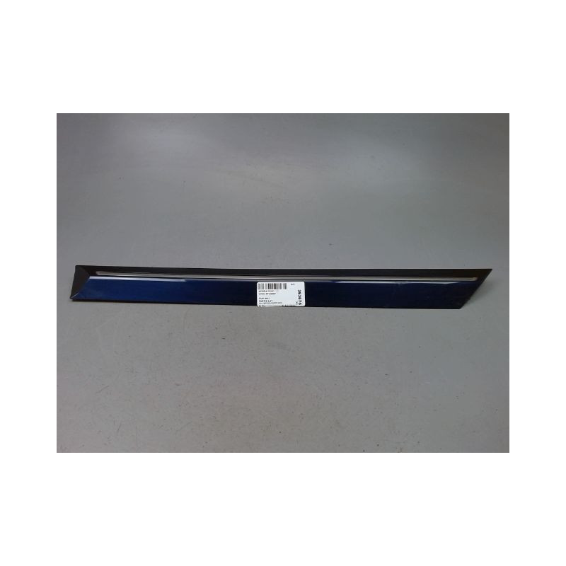 PROTECTION PORTE ARRIERE GAUCHE HONDA CIVIC 2006-