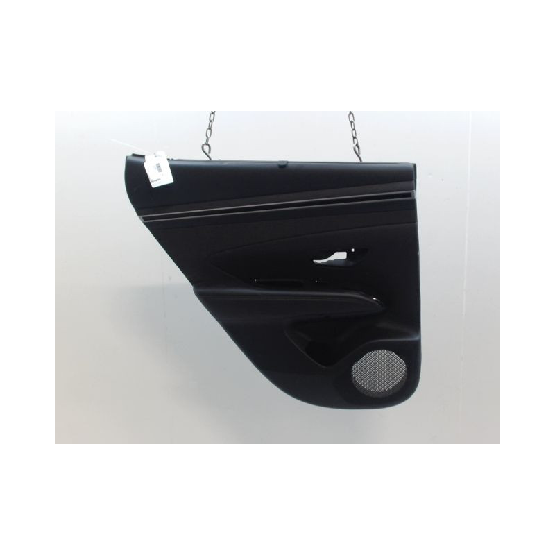 GARNITURE PORTE ARRIERE GAUCHE HYUNDAI TUCSON -04