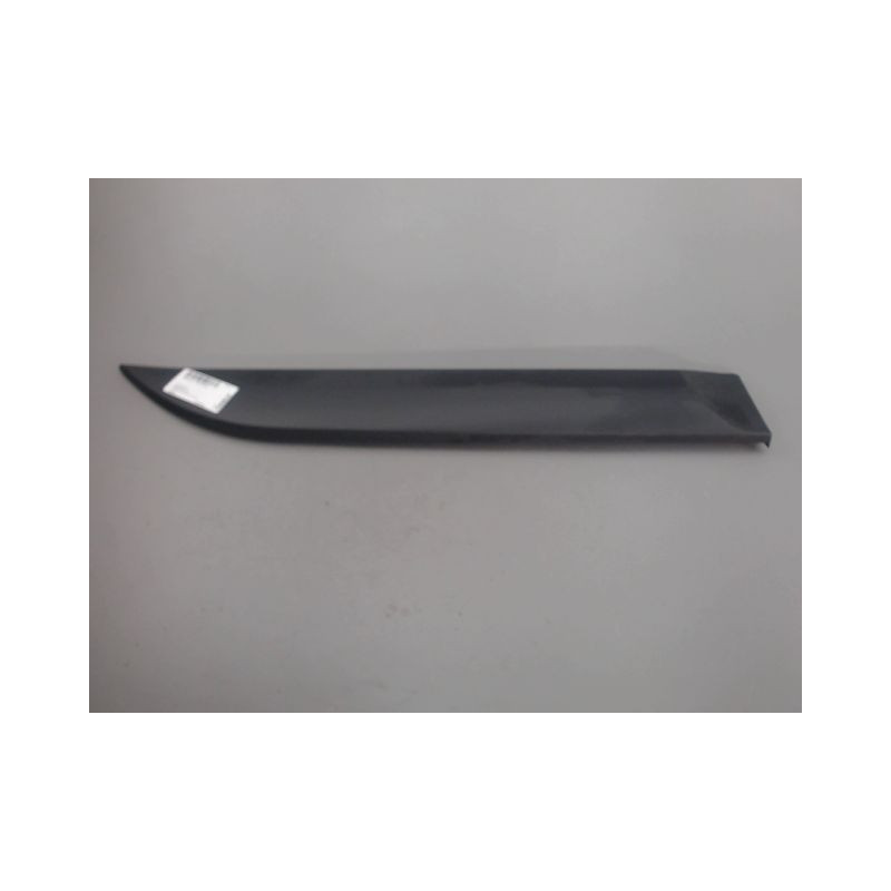 PROTECTION PORTE ARRIERE DROIT RENAULT MEGANE
