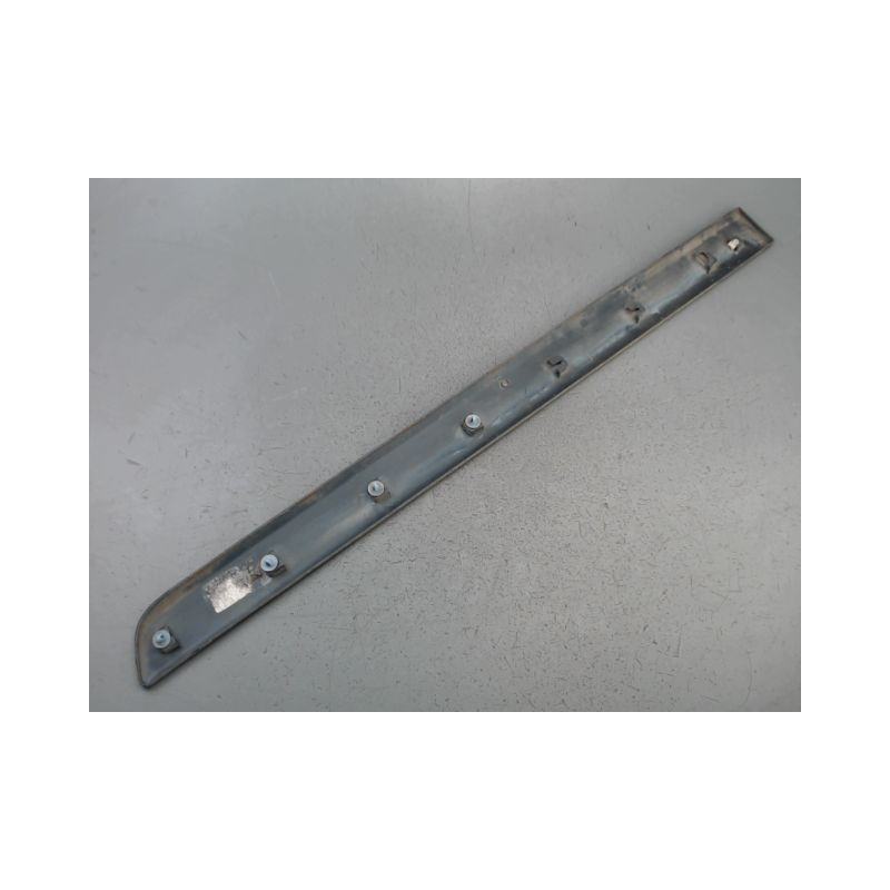 PROTECTION PORTE AVANT GAUCHE RENAULT KANGOO