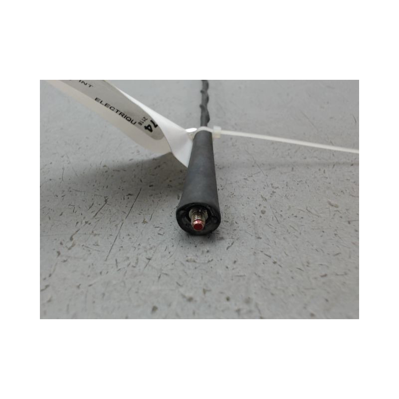 ANTENNE RADIO DACIA SPRING