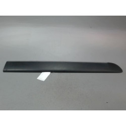 PROTECTION PORTE AVD