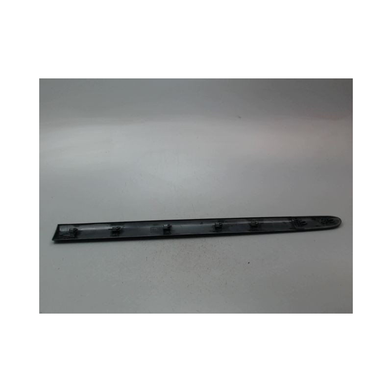 PROTECTION PORTE AVANT GAUCHE RENAULT CLIO CAMPUS II Phase 2 2009-2012