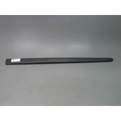 PROTECTION PORTE AVD