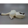 RESERVOIR LAVE-GLACE AVANT FIAT 500 C 09-