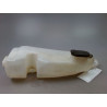 RESERVOIR LAVE-GLACE AVANT DACIA SANDERO I 2008-2012