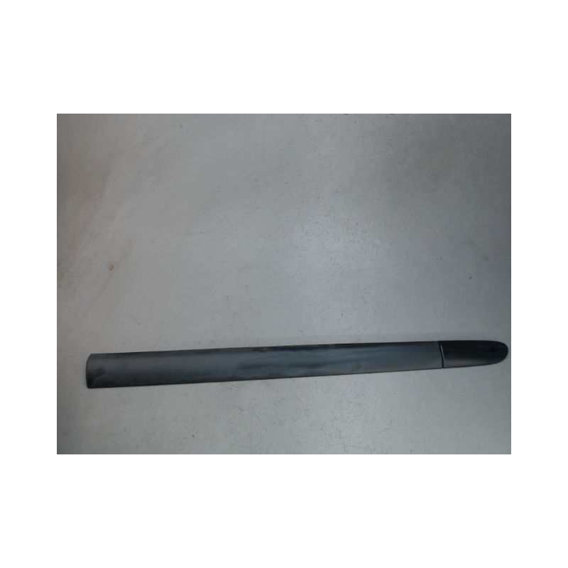 PROTECTION PORTE AVANT DROIT RENAULT CLIO