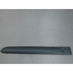 PROTECTION PORTE ARG