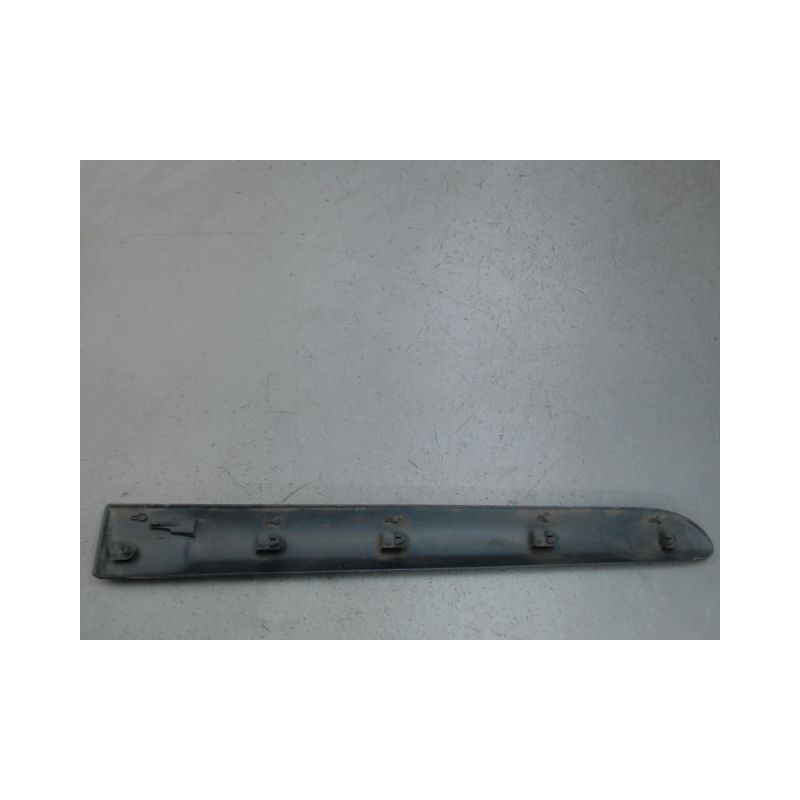 PROTECTION PORTE ARRIERE GAUCHE RENAULT CLIO