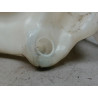 RESERVOIR LAVE-GLACE AVANT CITROEN BERLINGO